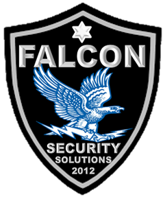 Falcon Security solutions